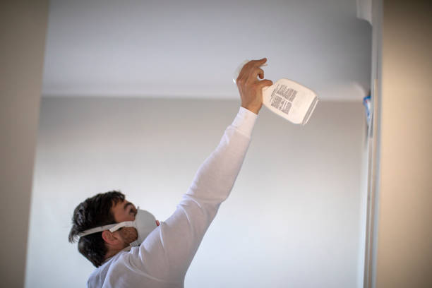 Best Kitchen Mold Remediation in Albany, LA