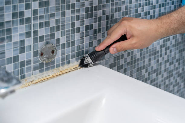 Best Health and Safety Mold Remediation in Albany, LA